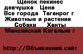 Щенок пекинес девчушка › Цена ­ 2 500 - Все города, Таганрог г. Животные и растения » Собаки   . Ханты-Мансийский,Когалым г.